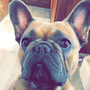 Meet your Posher, Layla